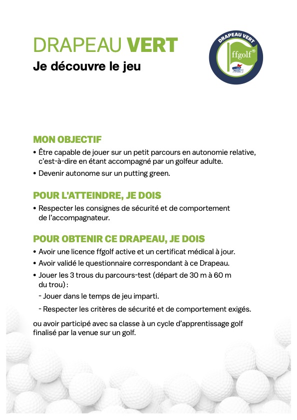 Drapeaux 1