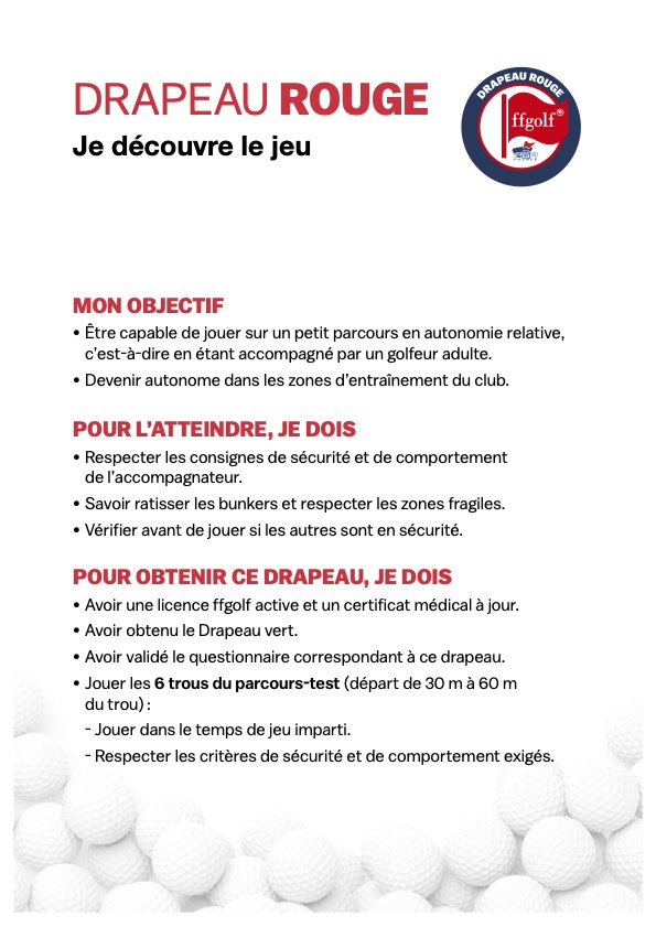 Drapeaux 2