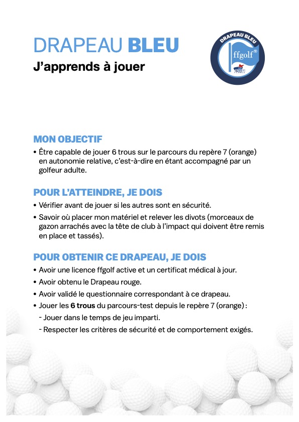 Drapeaux 3