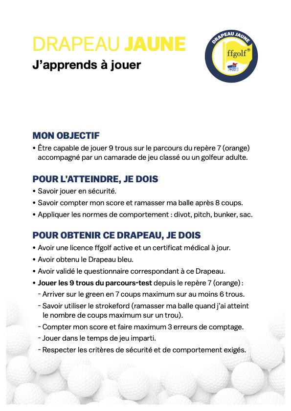 Drapeaux 4