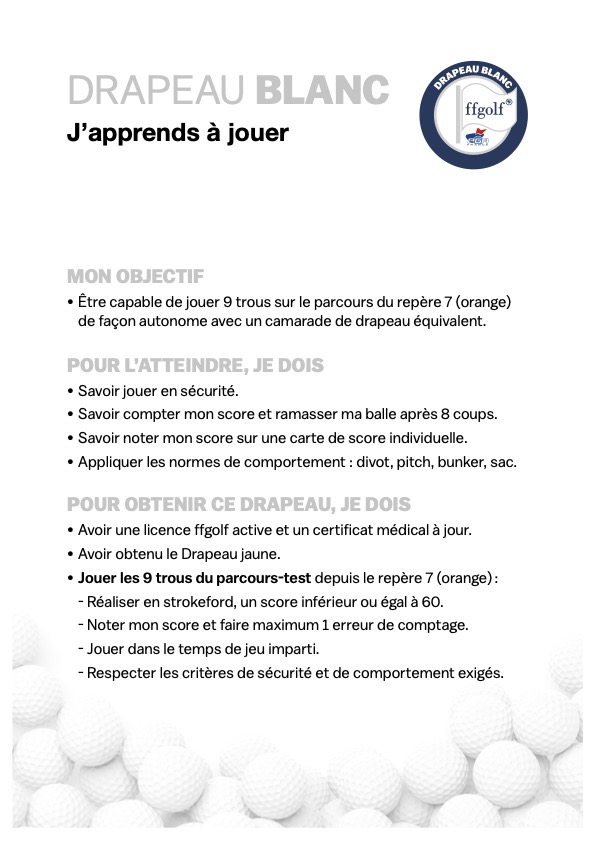 Drapeaux 5