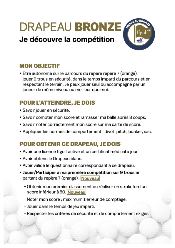Drapeaux 6