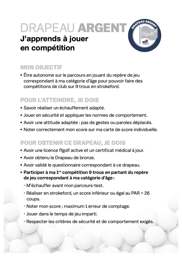Drapeaux 7