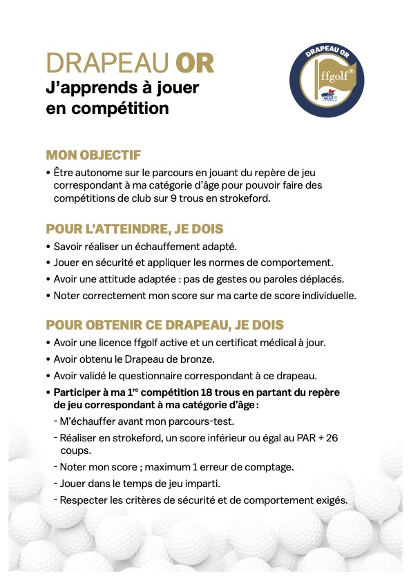 Drapeaux 8